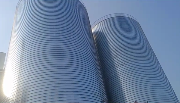 天水2座混凝土高架卷板仓